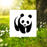 wwf