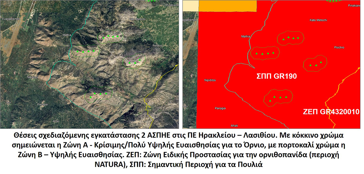 ASPHE CRETE DIKΤΗ small