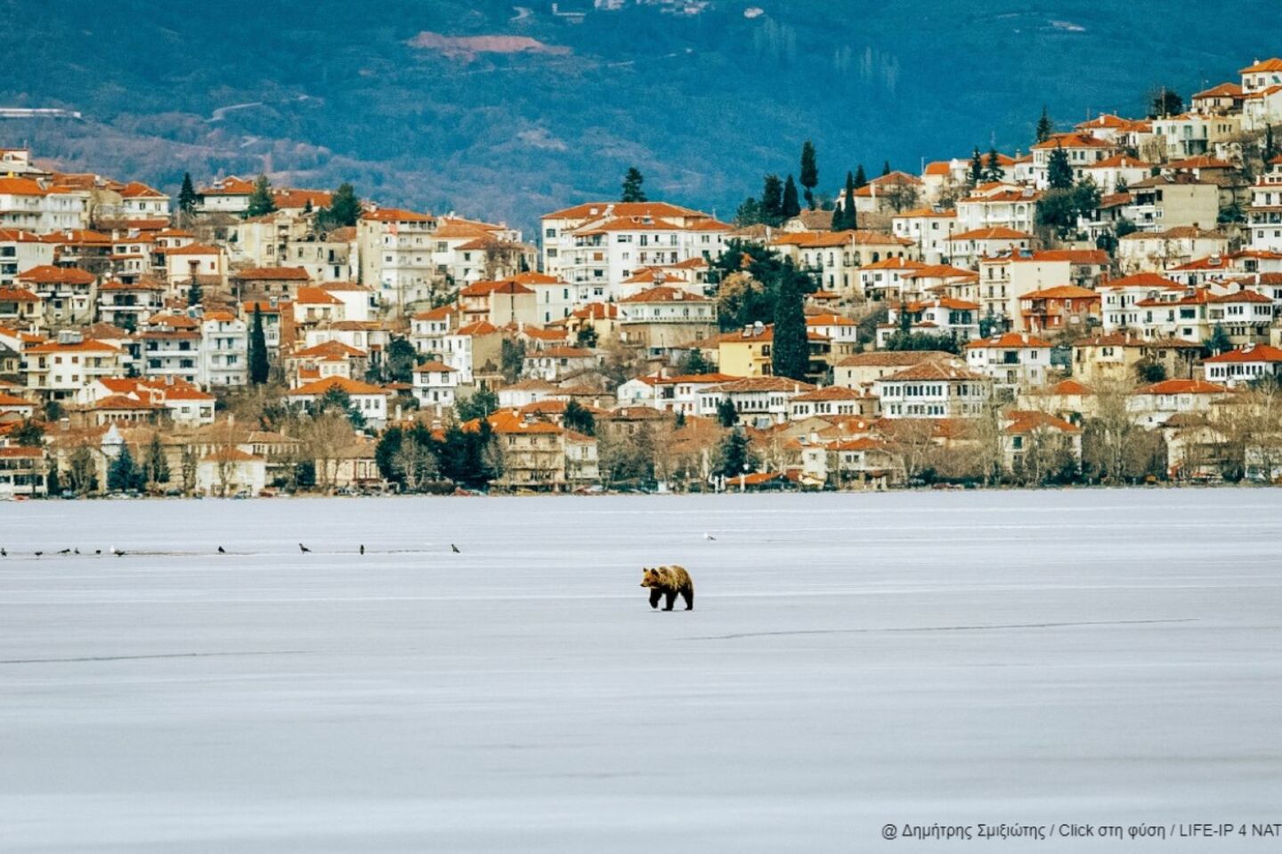 Δημήτριος Σμιξιώτης - Έπαινος στην κατηγορία “Άνθρωπος & φυσικό περιβάλλον” | Λίμνη Καστοριάς