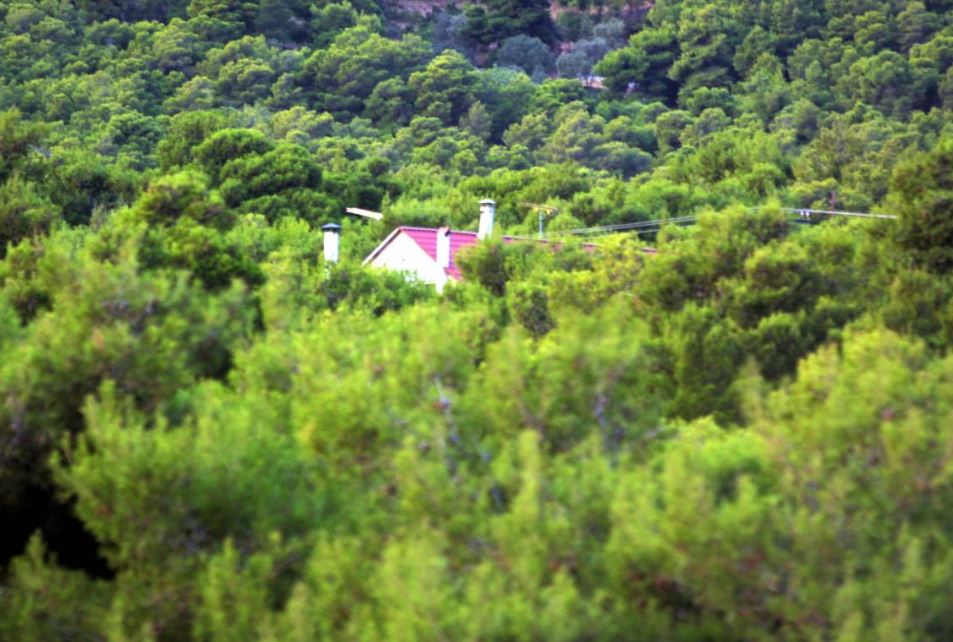 Δασική Υπηρεσία