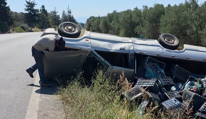 μελιτζάνες