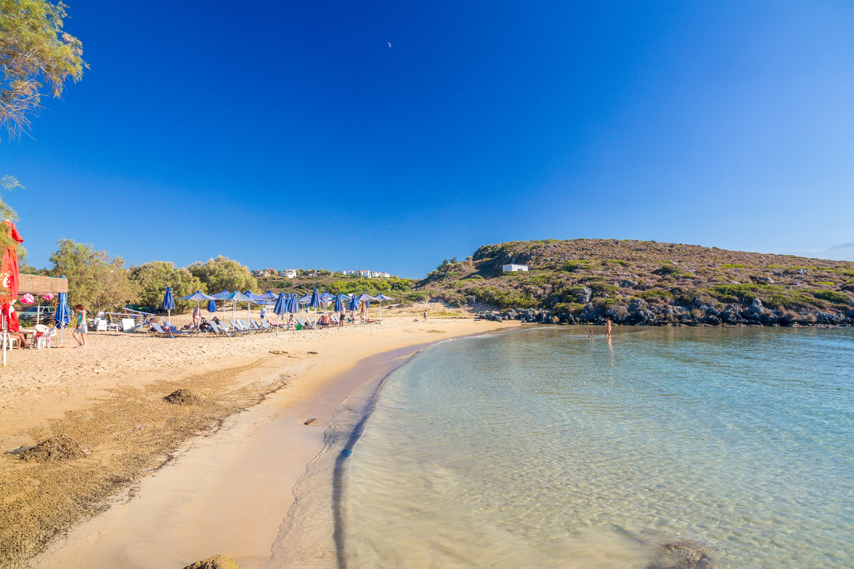 Ταρσανάς