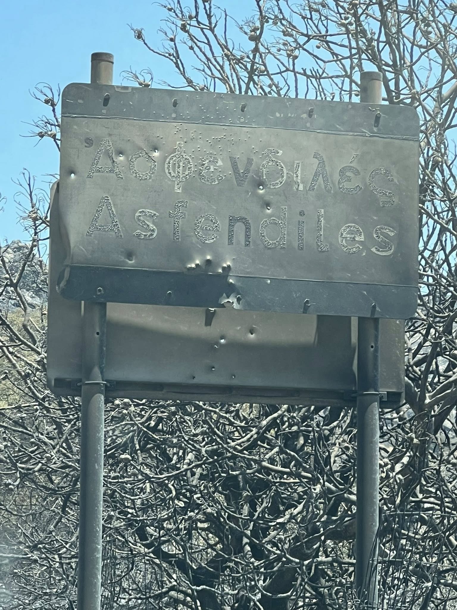 Ασφενδυλές