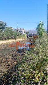 Κλαδισός 