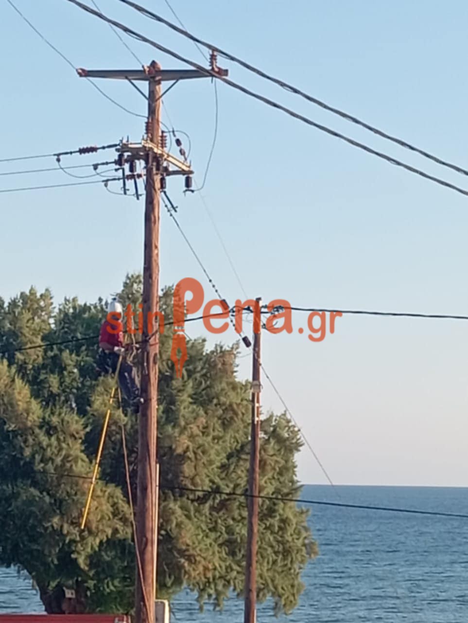 Εναερίτης