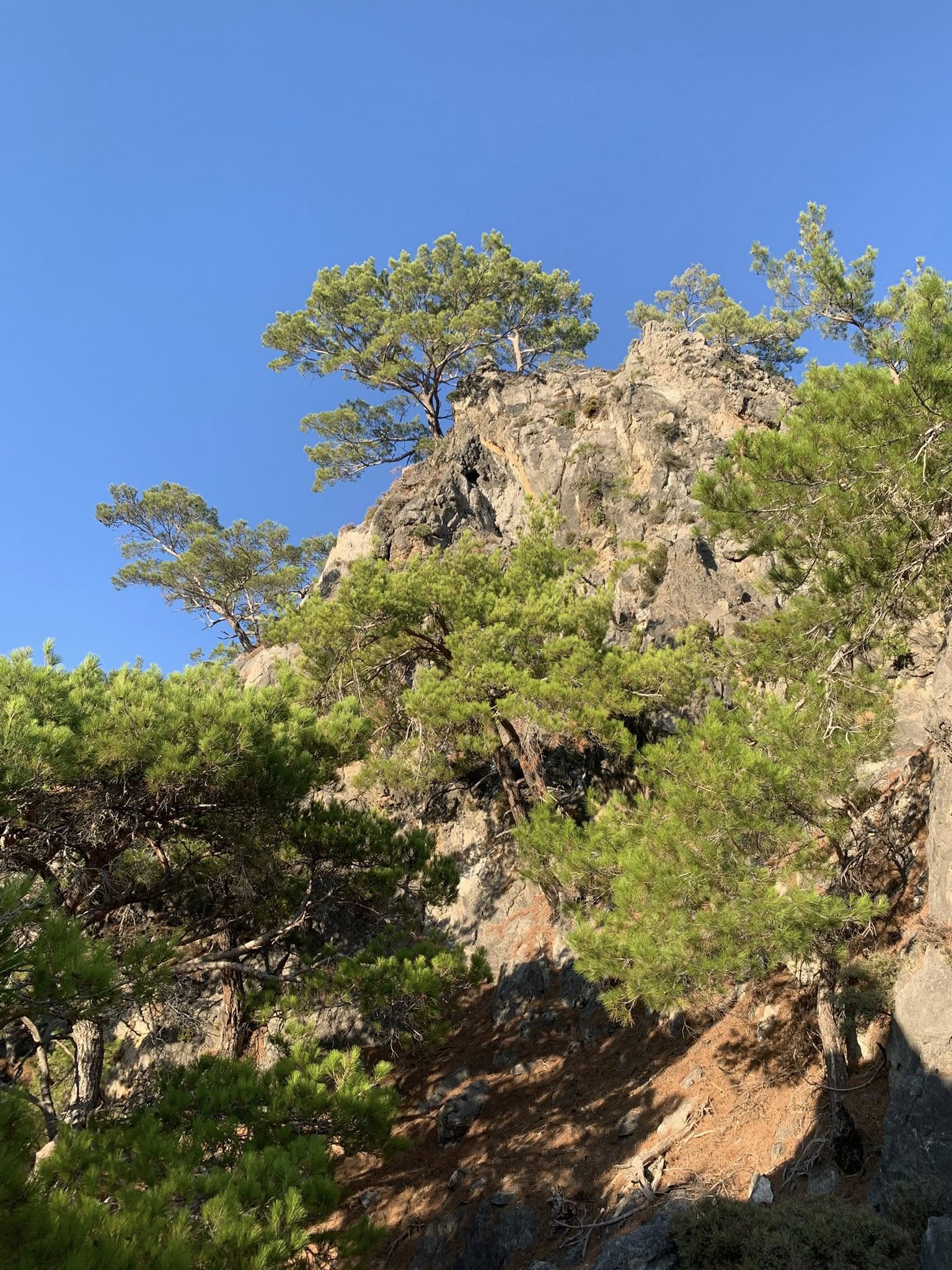 ΕΟΣ
