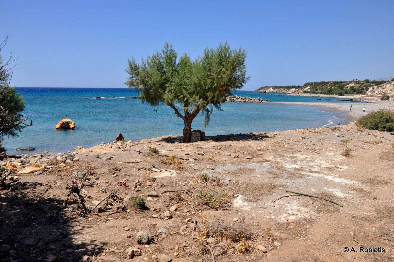 Λάκκοι