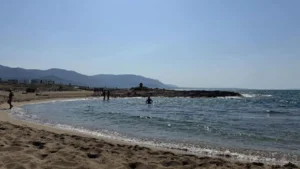 Ναυαγοσώστης 