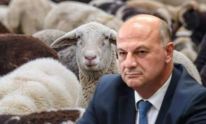 Τσιάρας
