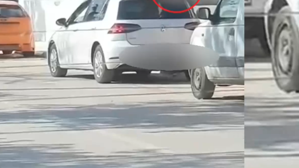 Μαφία