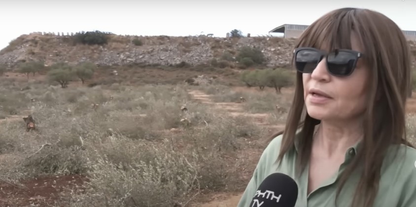 λιόφυτο