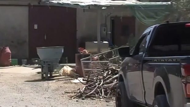 Κτηνοτρόφος