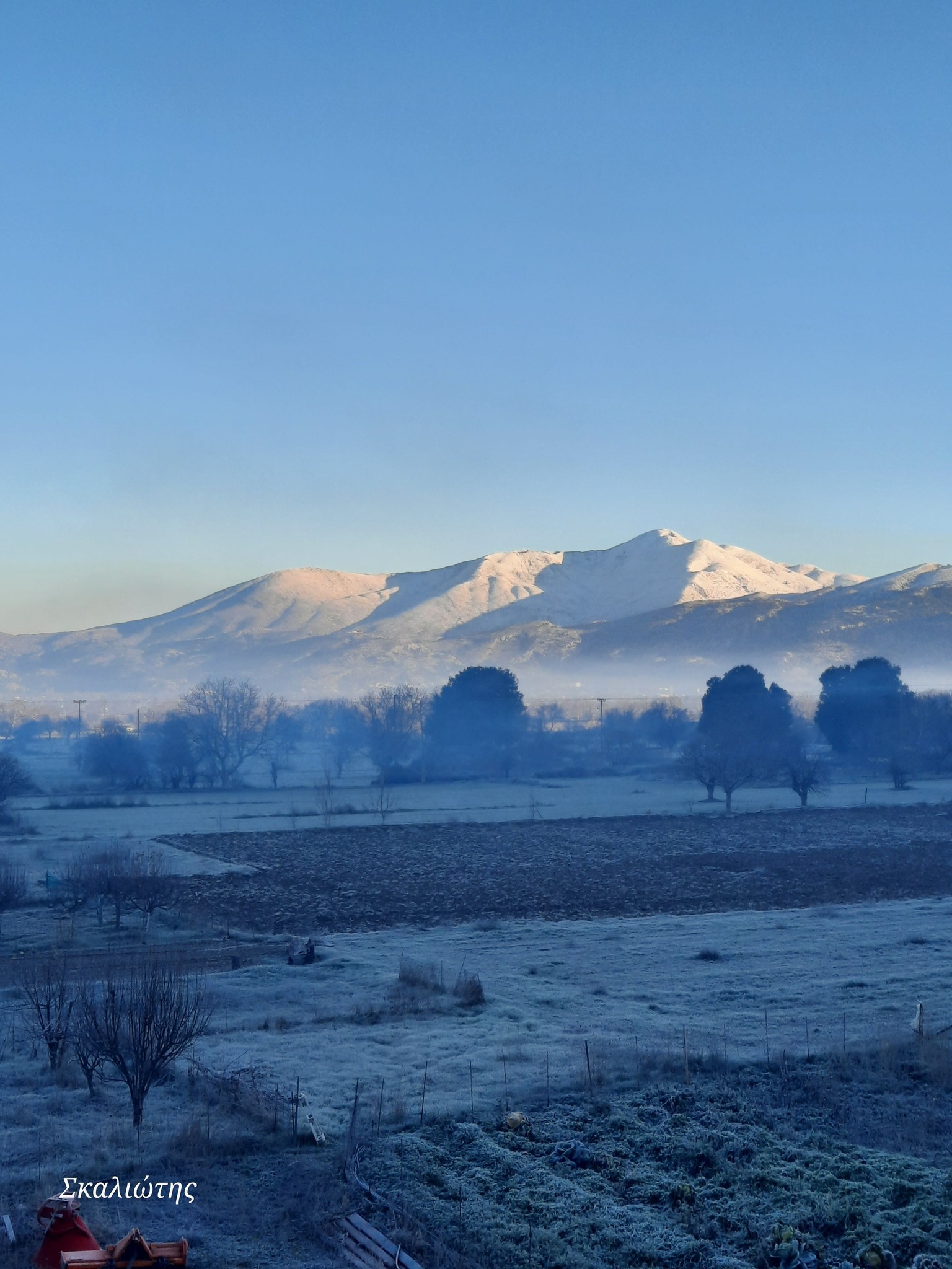 Ψηλορείτης