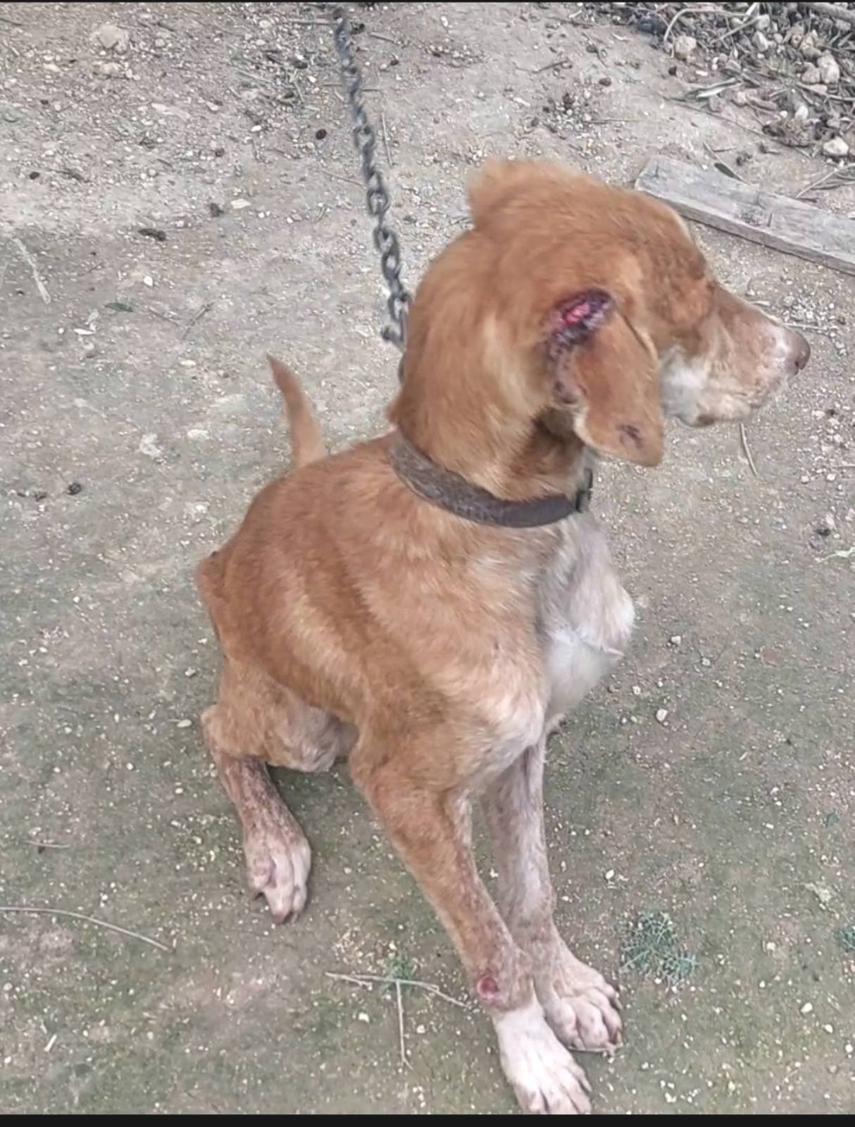 κακοποίηση