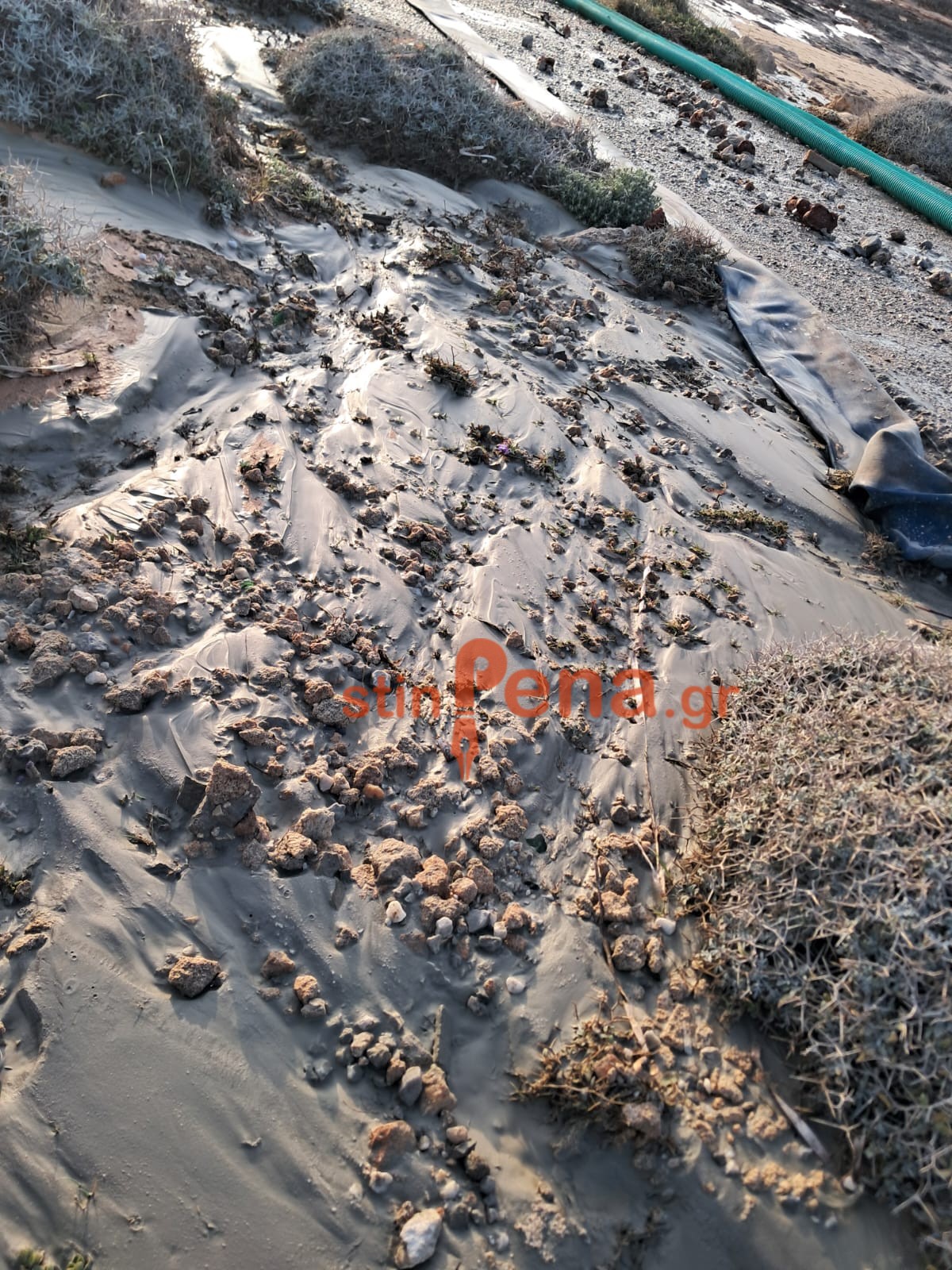 Παχιά Άμμος