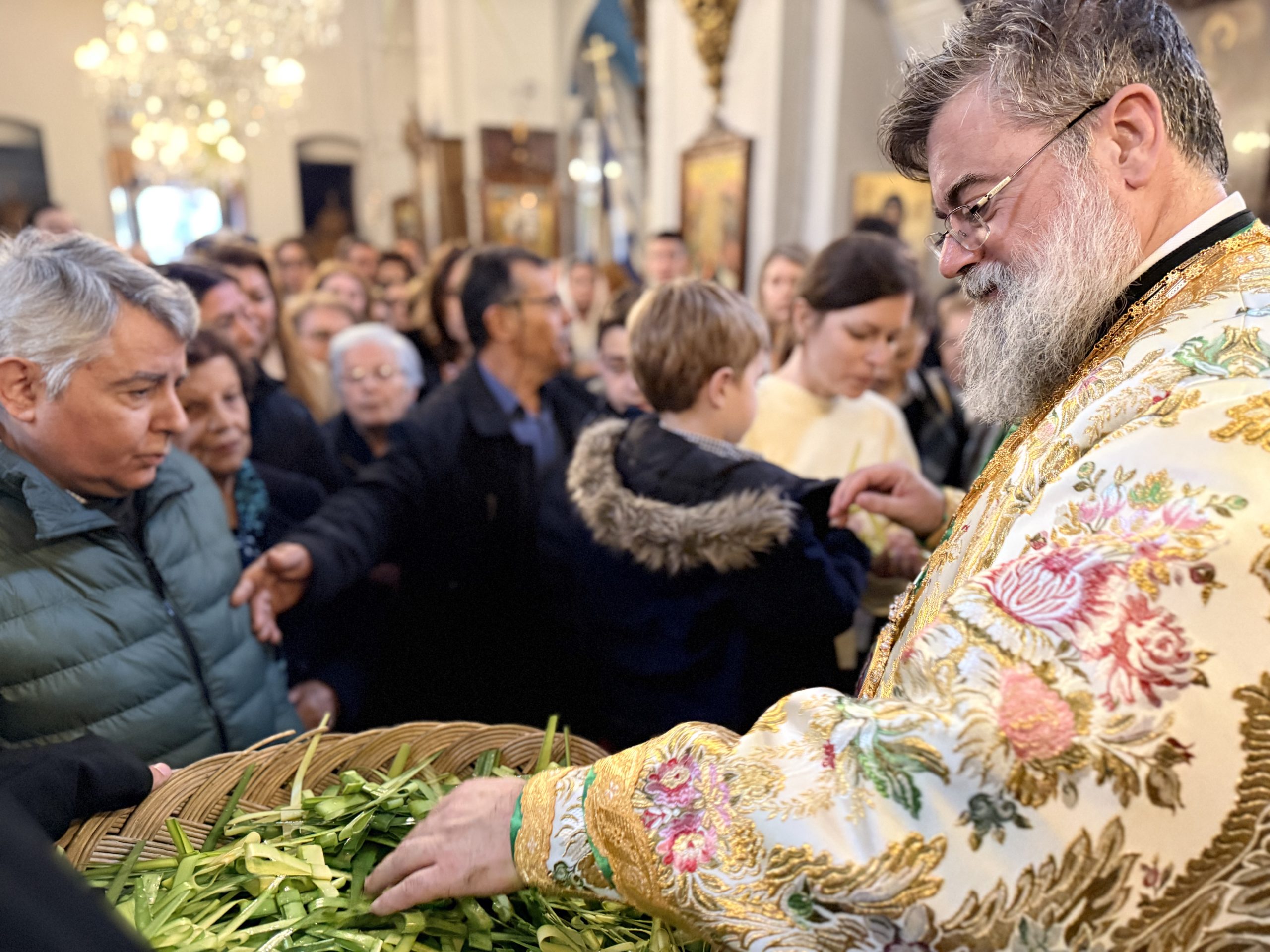 Μητροπολίτη Τίτου