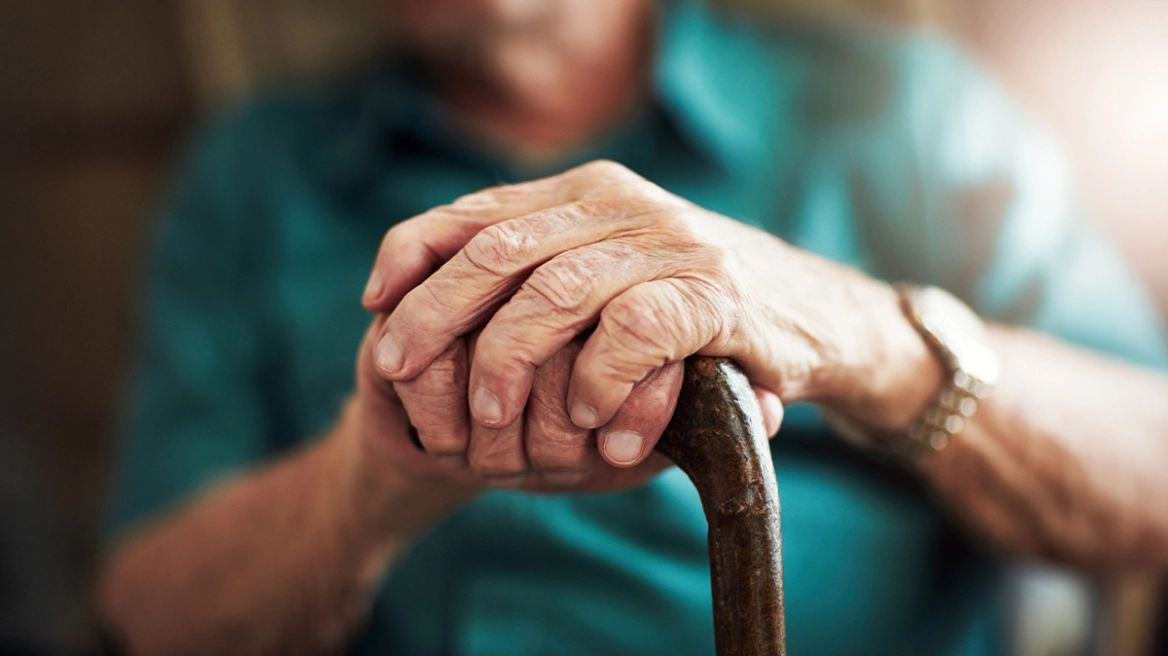 Οικιακή Βοηθός