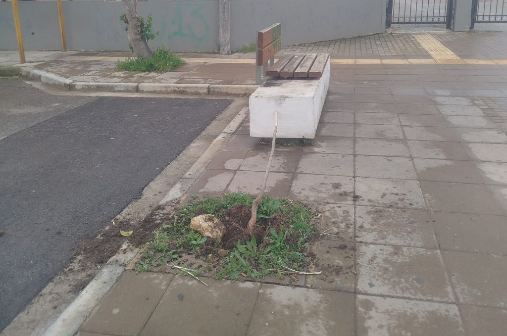δέντρο