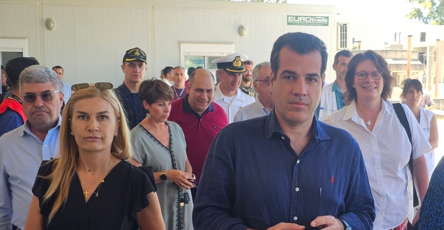 Πλεύρης